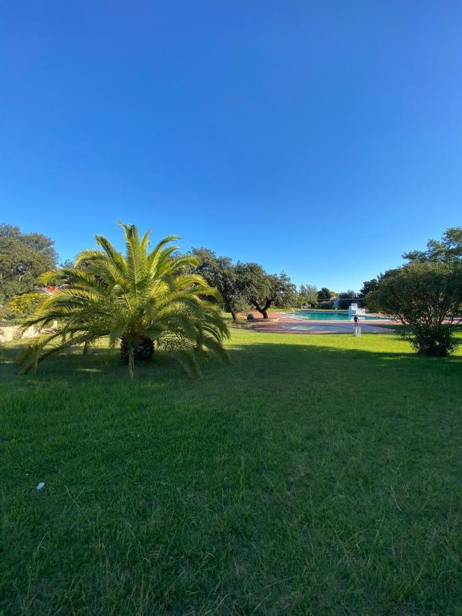 New Algarvegas Paradise Apartment Albufeira Exterior photo