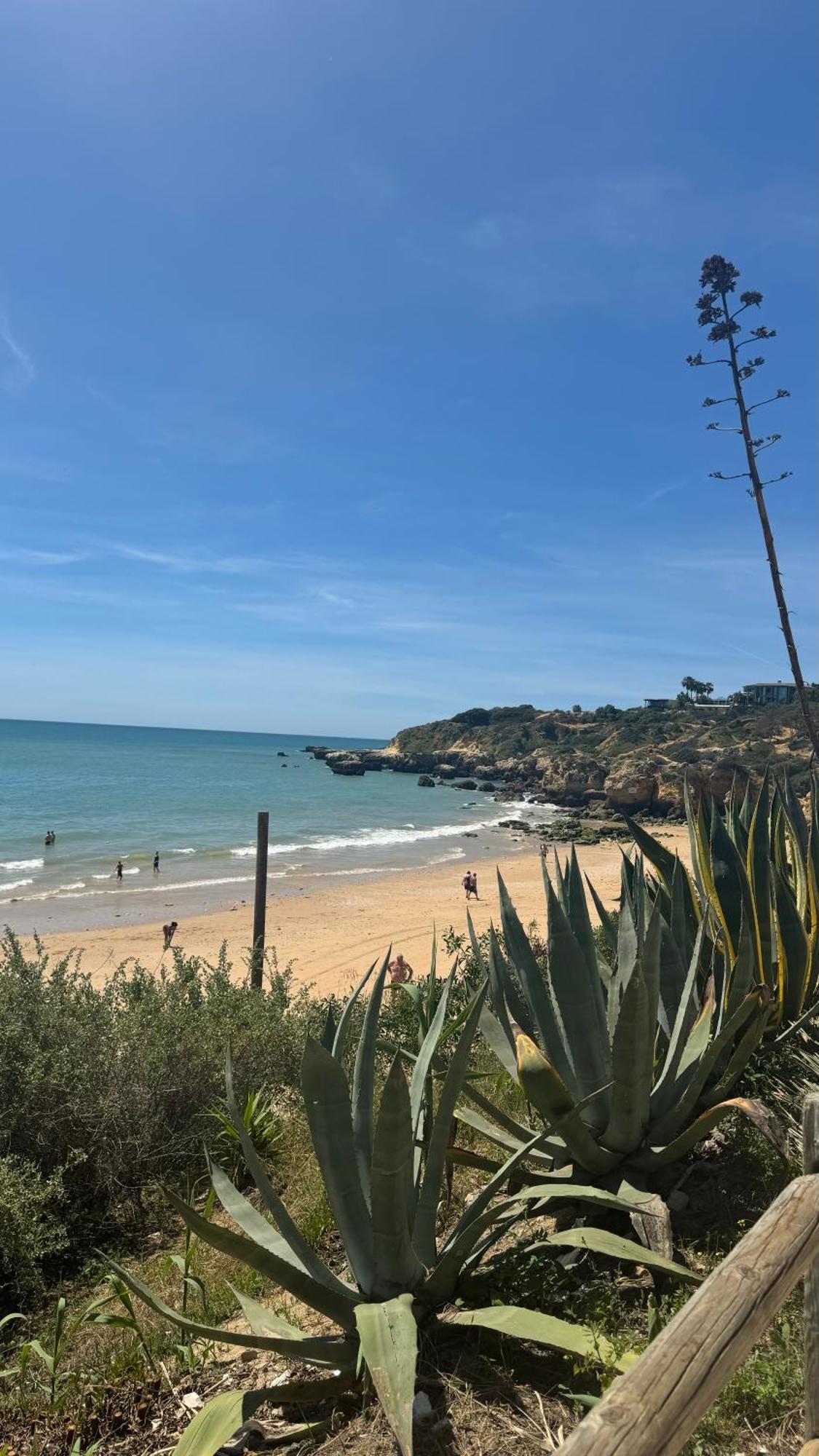 New Algarvegas Paradise Apartment Albufeira Exterior photo